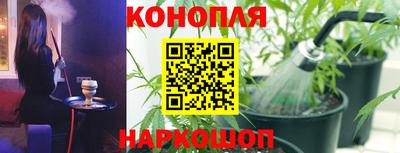 сатива Балахна