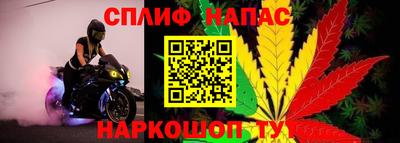 сатива Балахна