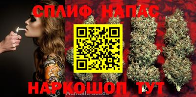 сатива Балахна