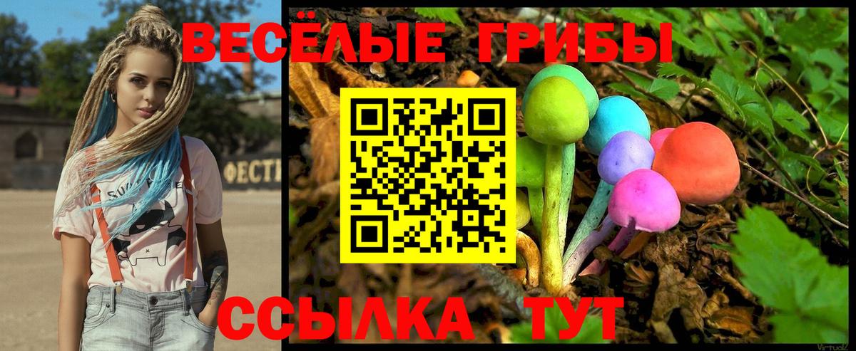Дзержинский  Псилоцибиновые грибы Psilocybine cubensis  Вход с VPN  Галлюциногенные грибы Magic Shrooms 